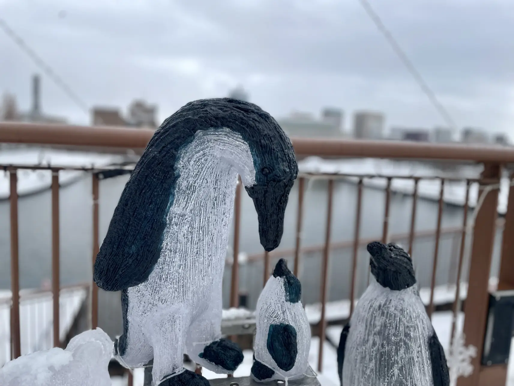 普段と違う表情を見せてくれる「環水公園」-4