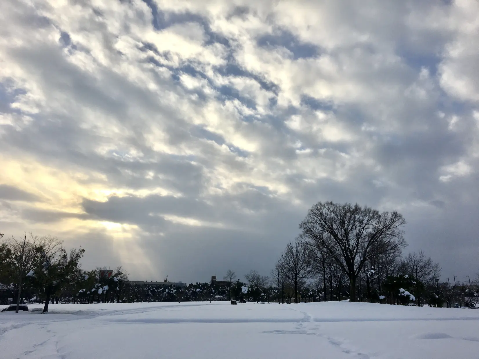 雪遊びに最適な場所「稲荷公園」-1