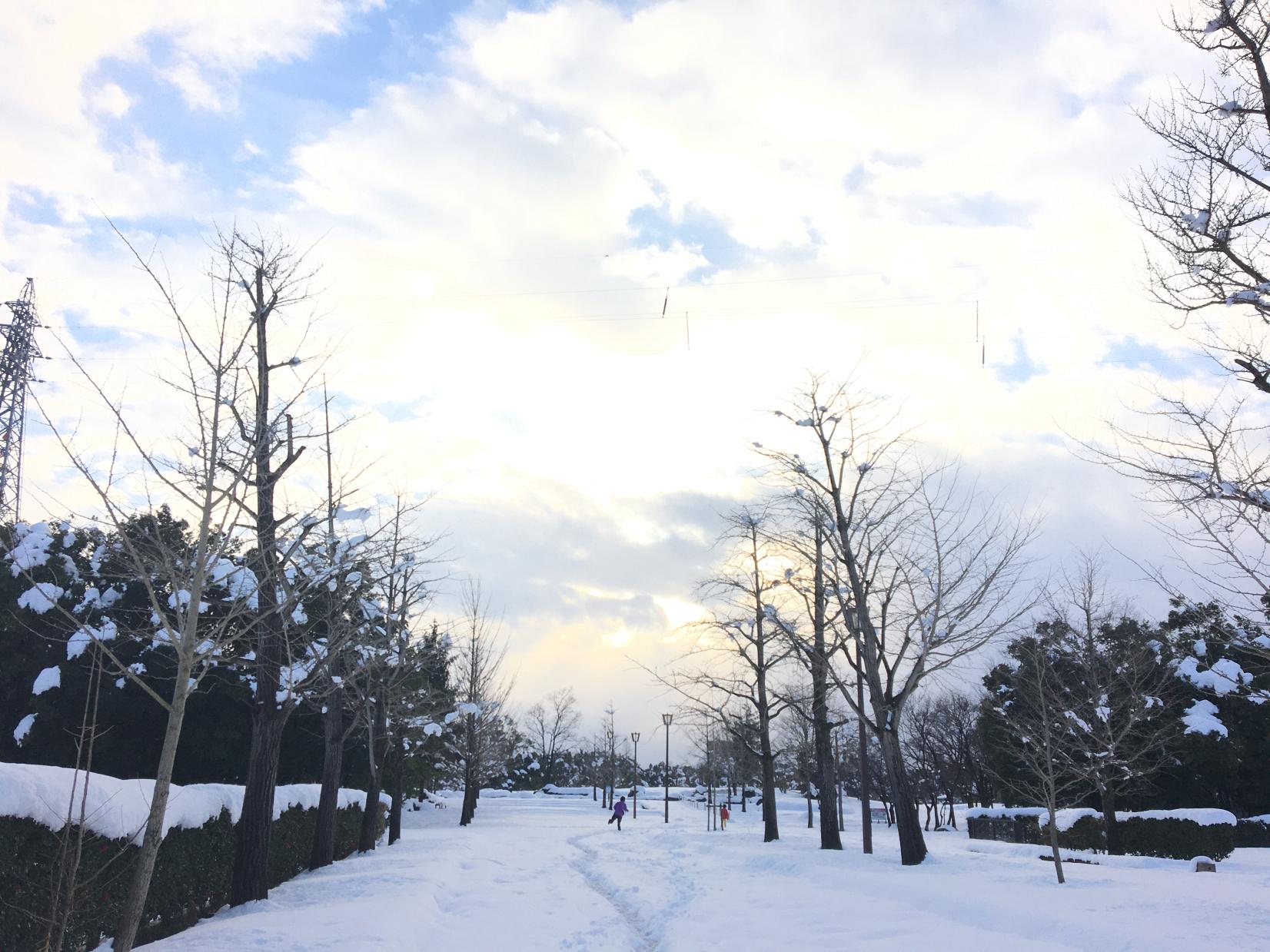 雪遊びに最適な場所「稲荷公園」-0