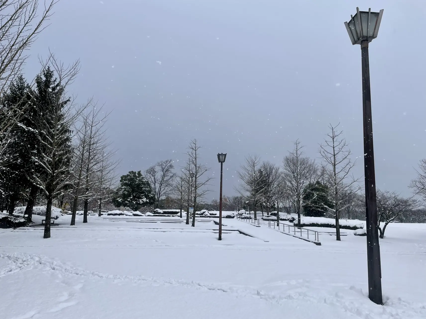 雪遊びに最適な場所「稲荷公園」-3