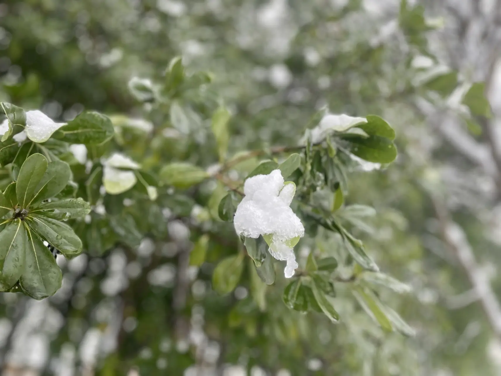 雪遊びに最適な場所「稲荷公園」-4