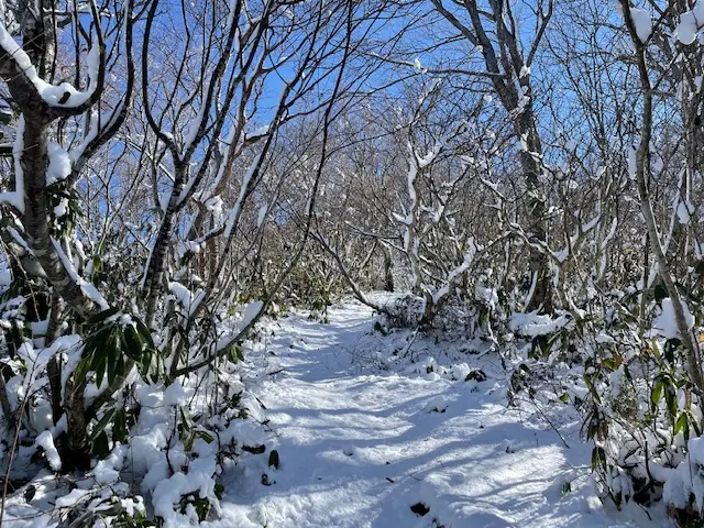 登山道の状況-0