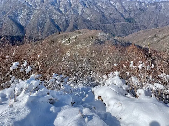 登山道の状況-1