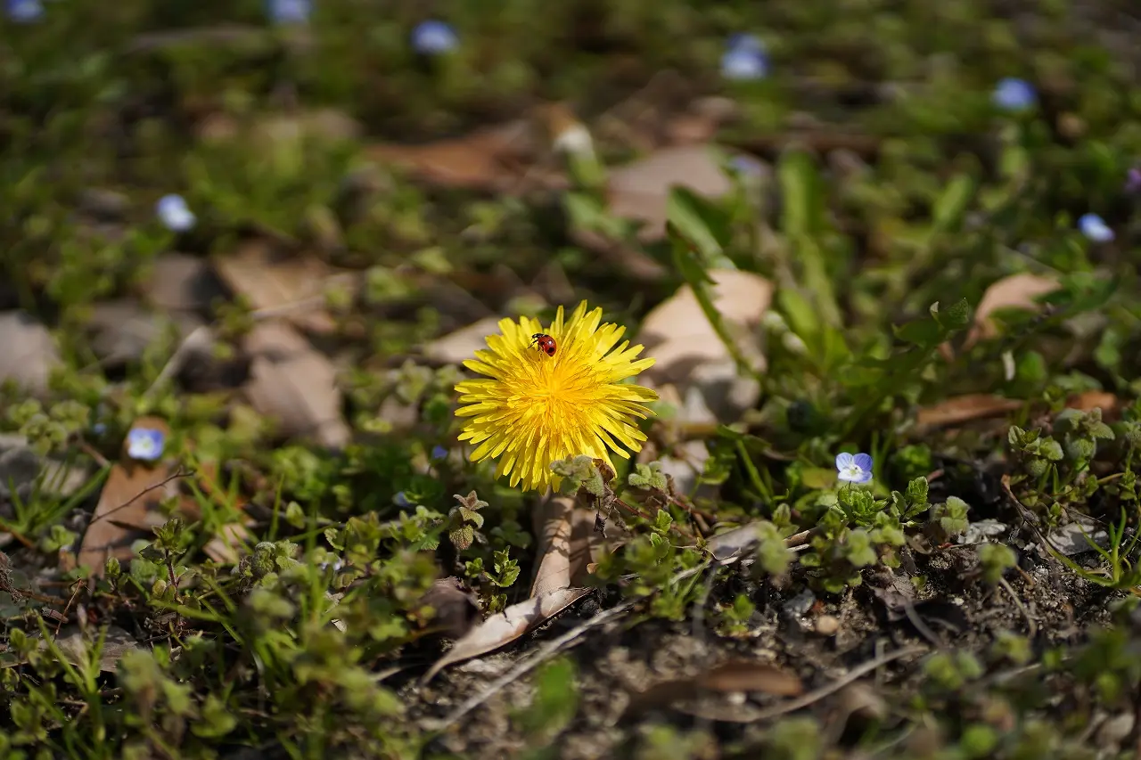 -1