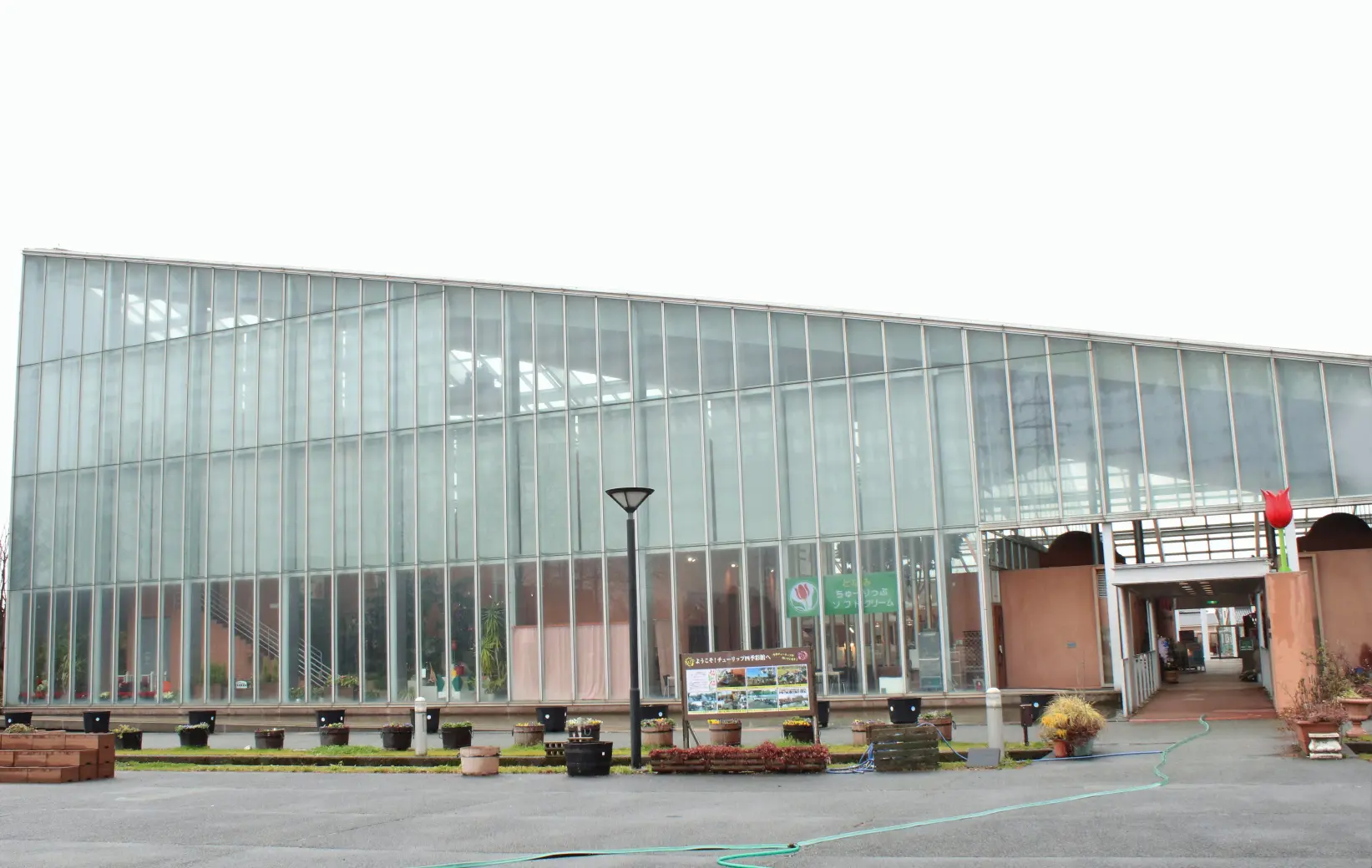３．【チューリップ四季彩館】の「チューリップソフトクリーム」-3