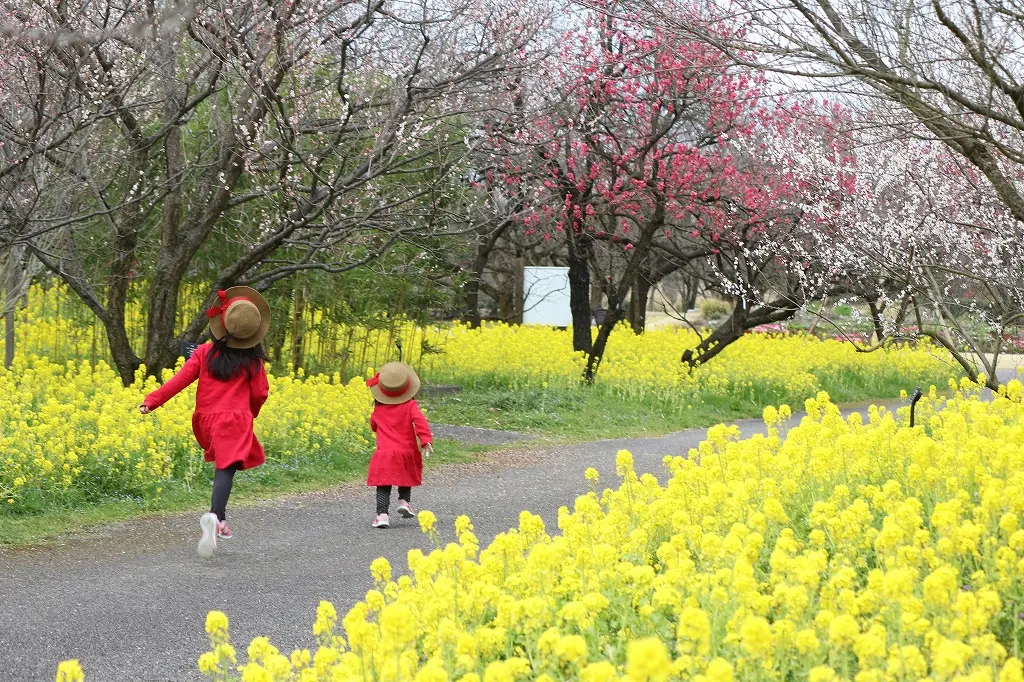 「さくらまつり」の期間以外にも見どころ、たくさん！-0