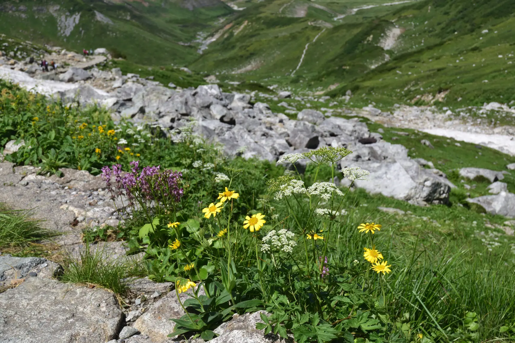 -3