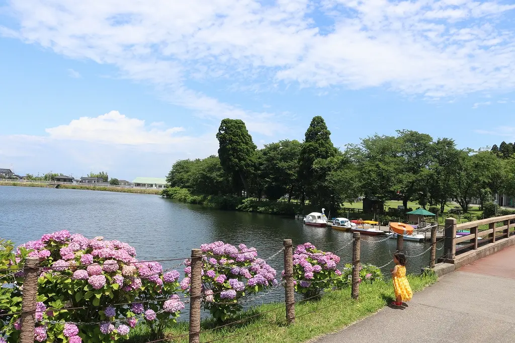 「富山市ファミリーパーク」のあじさいが魅力的！-0