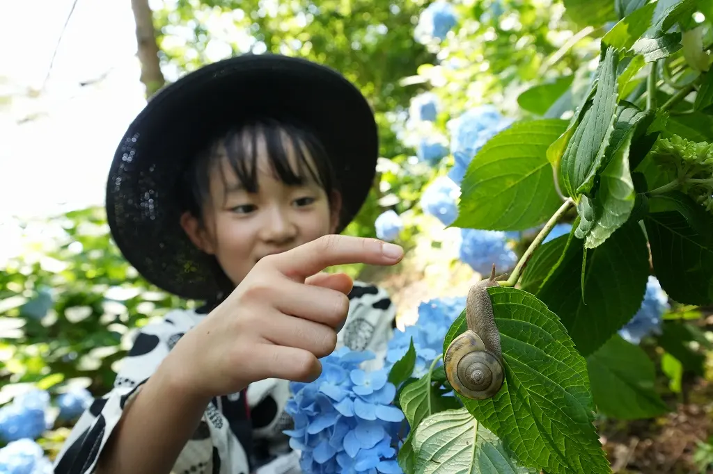 毎年行きたくなる「県民公園 太閤山ランド」の「あじさい祭り」！-6