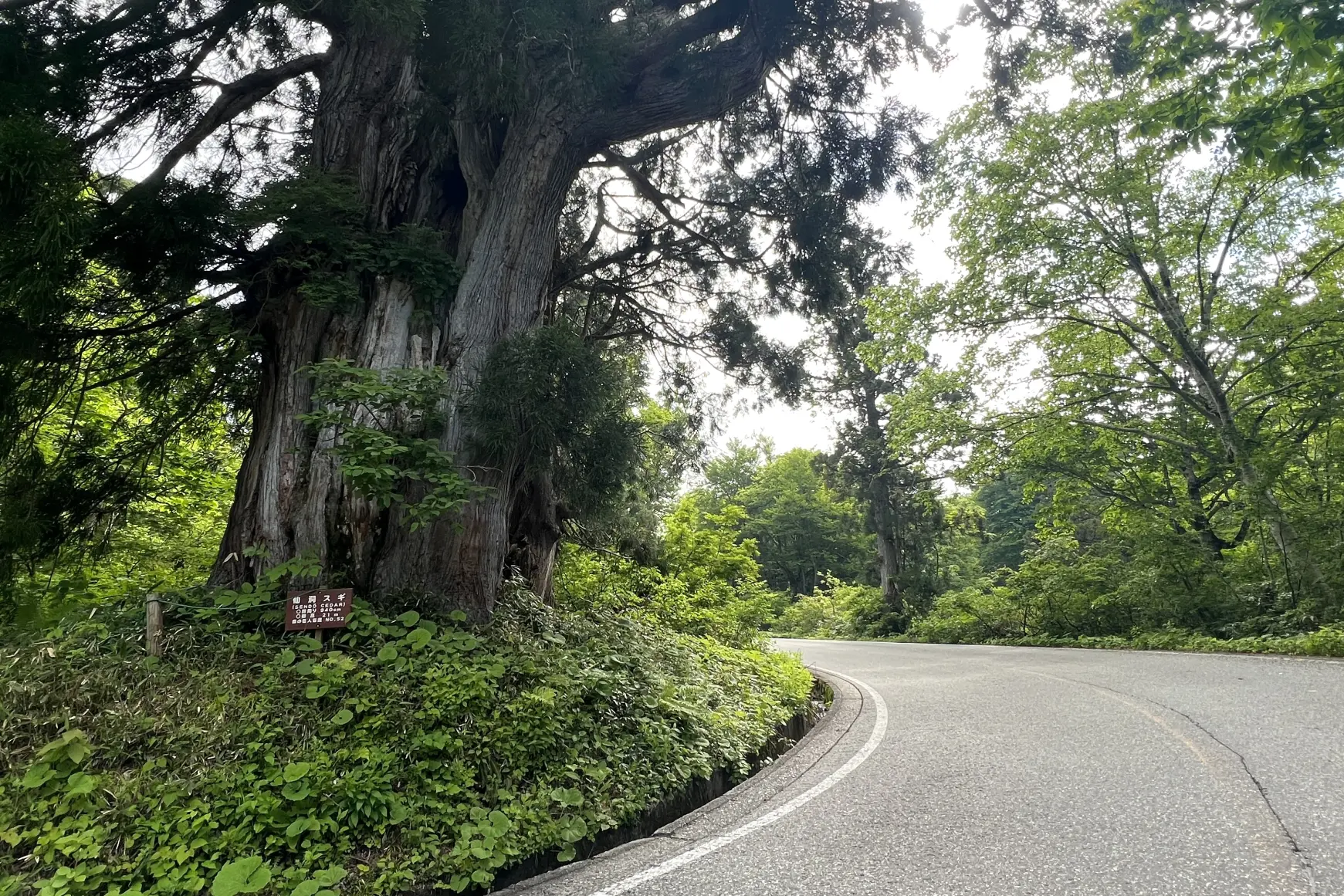 修験道に散りばめられた立山の神秘-1
