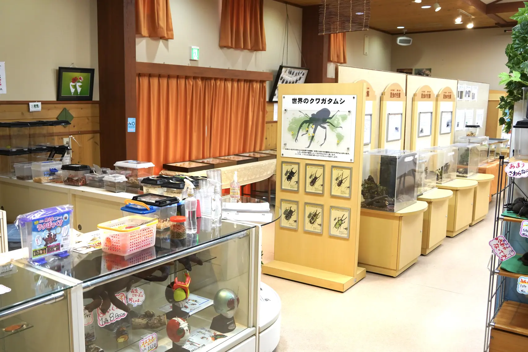 ド派手な外来種が勢揃いの「展示コーナー」-4
