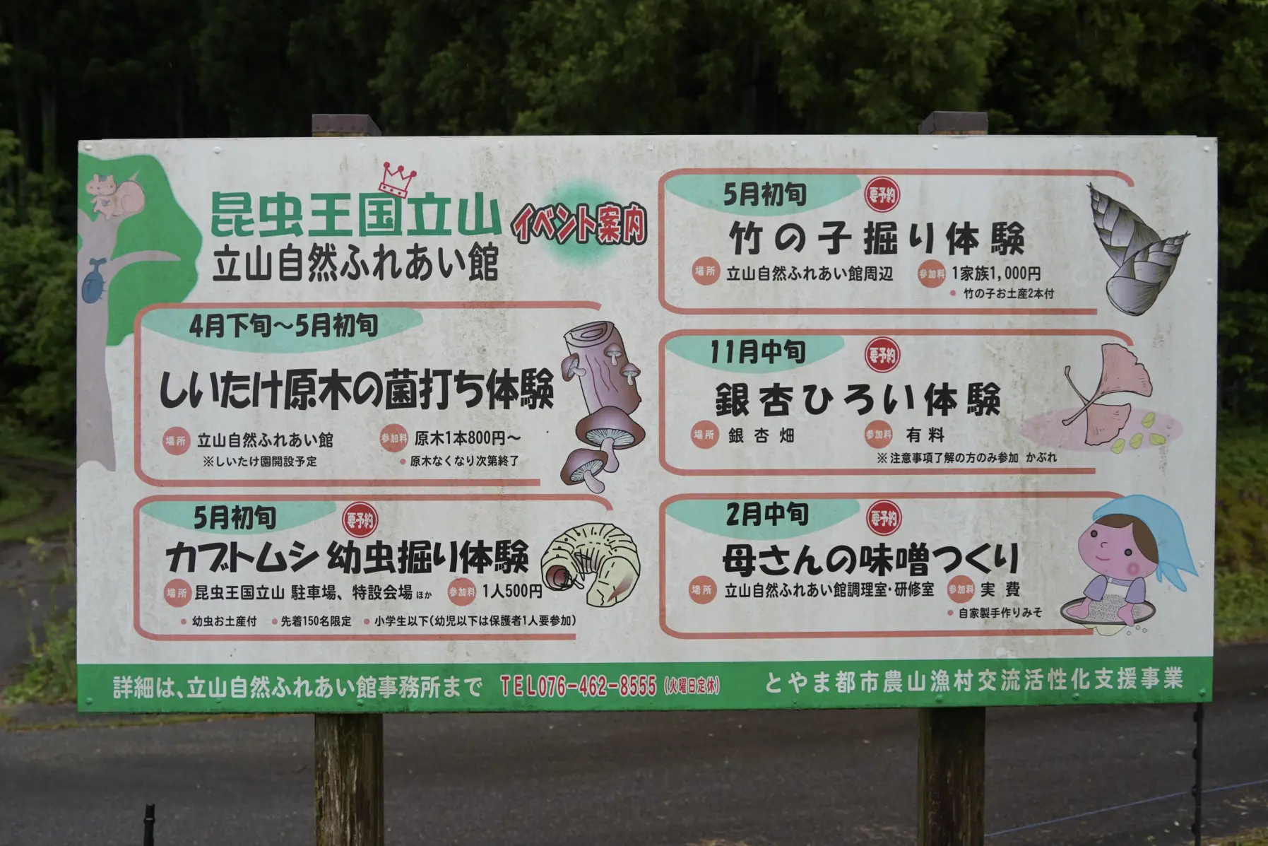 自然豊かな四谷尾地区-4