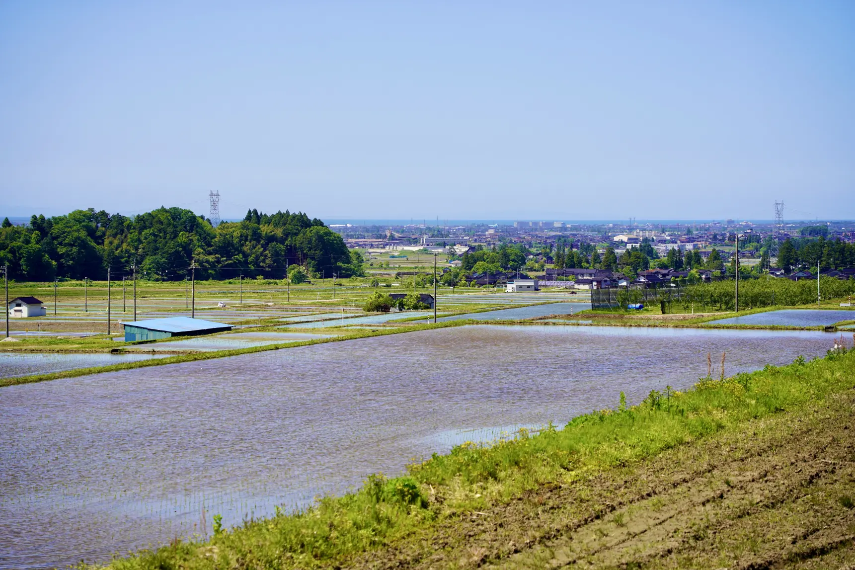 自然豊かな四谷尾地区-3