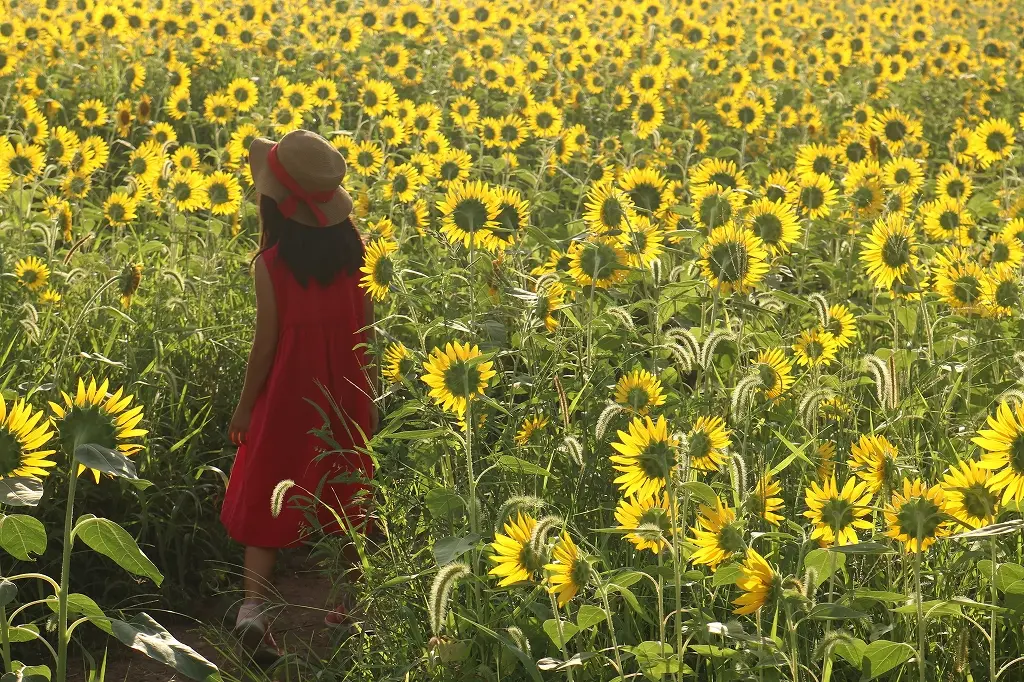 早朝や夕暮れ時は、また違う雰囲気に！-1
