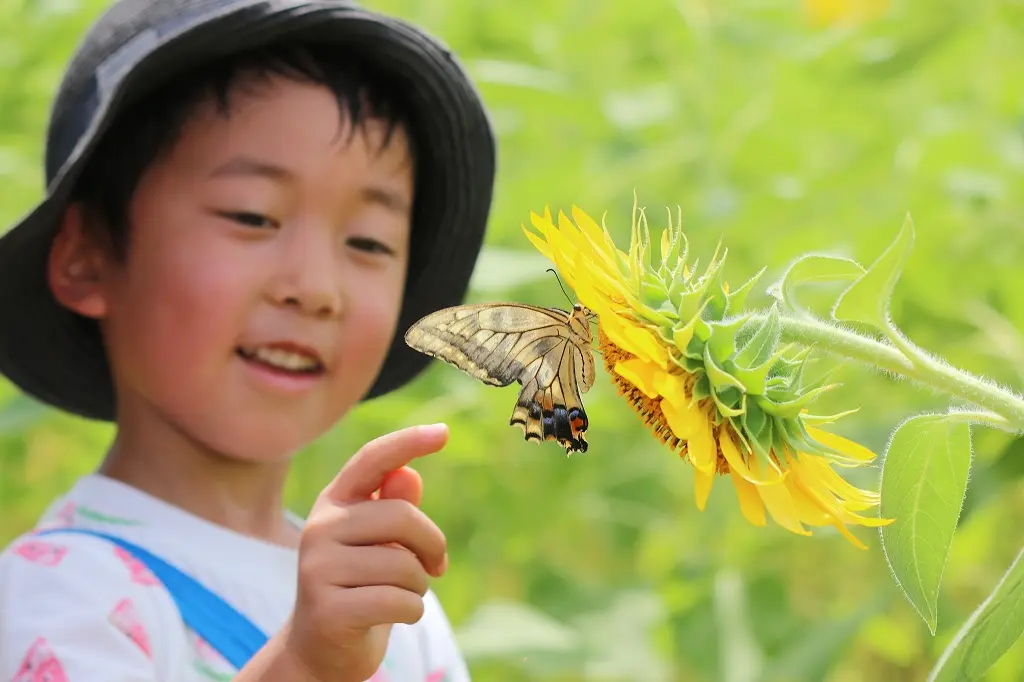 子どもたちと「ひまわり」の映え写真も撮れます！-3