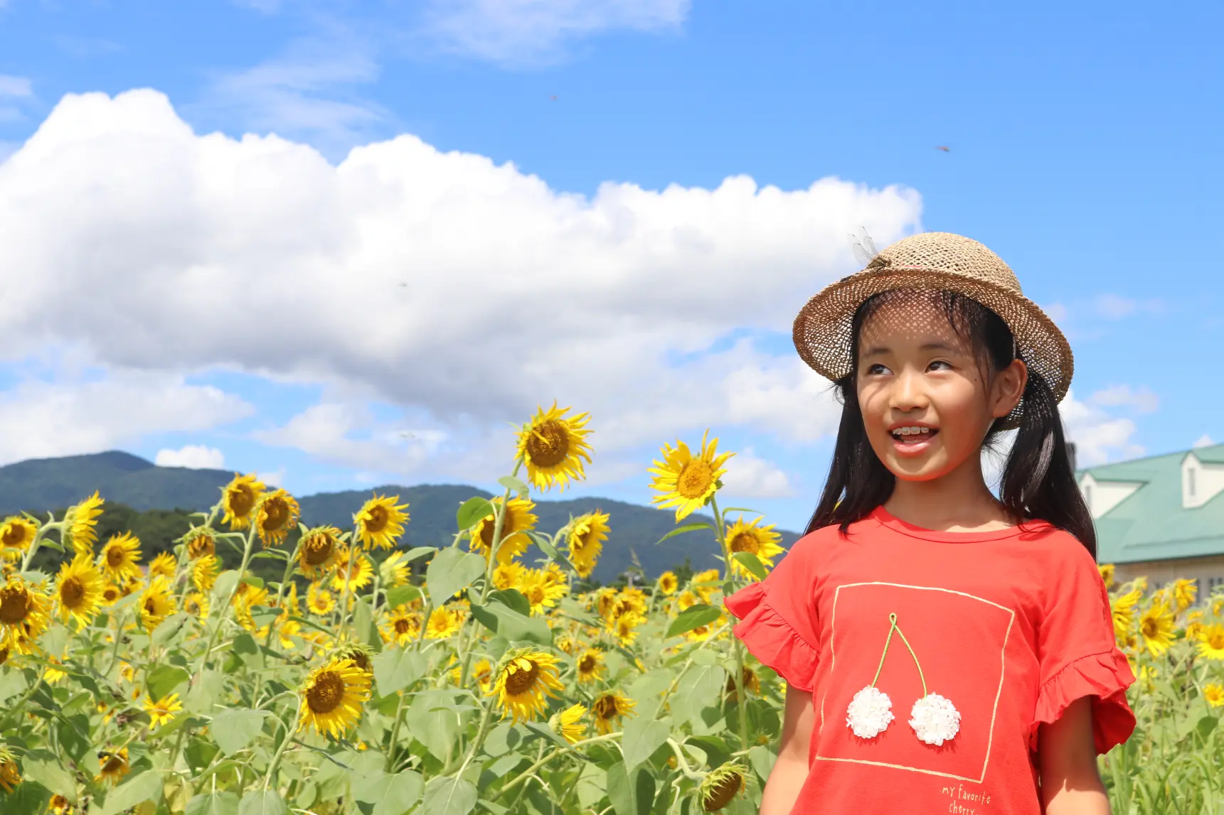 子どもたちと「ひまわり」の映え写真も撮れます！-1
