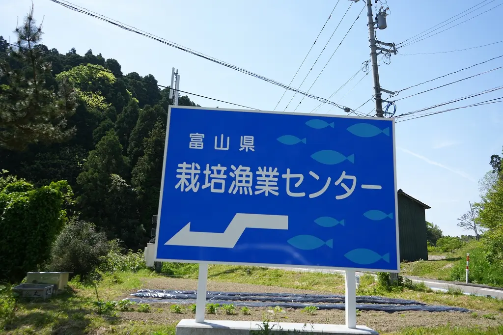2023年4月リニューアルオープン！一般開放された「富山県栽培漁業センター」！-0