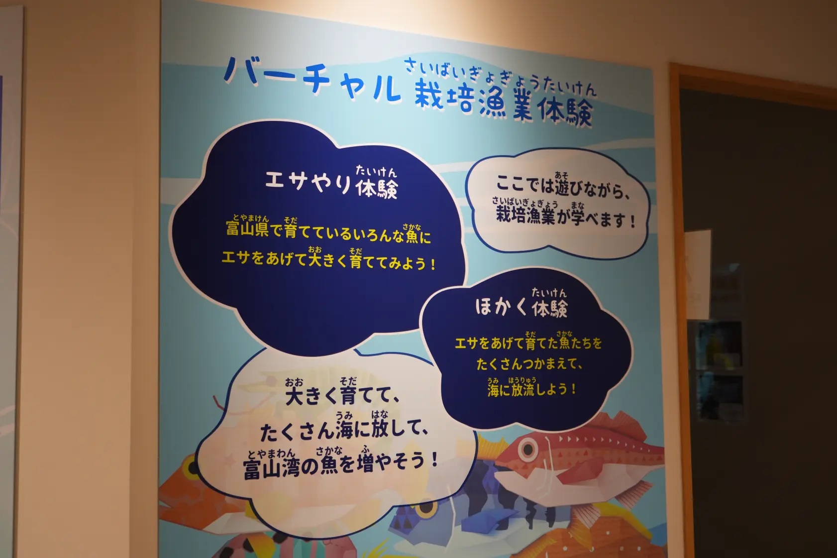 「交流館」の魅力　その①「バーチャル栽培漁業体験」が面白い！-0