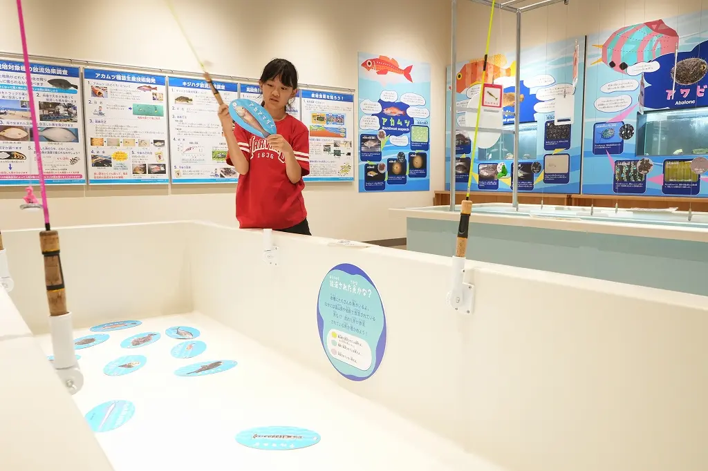 「交流館」の魅力　その③ 魚釣りで学べる「栽培漁業」-1