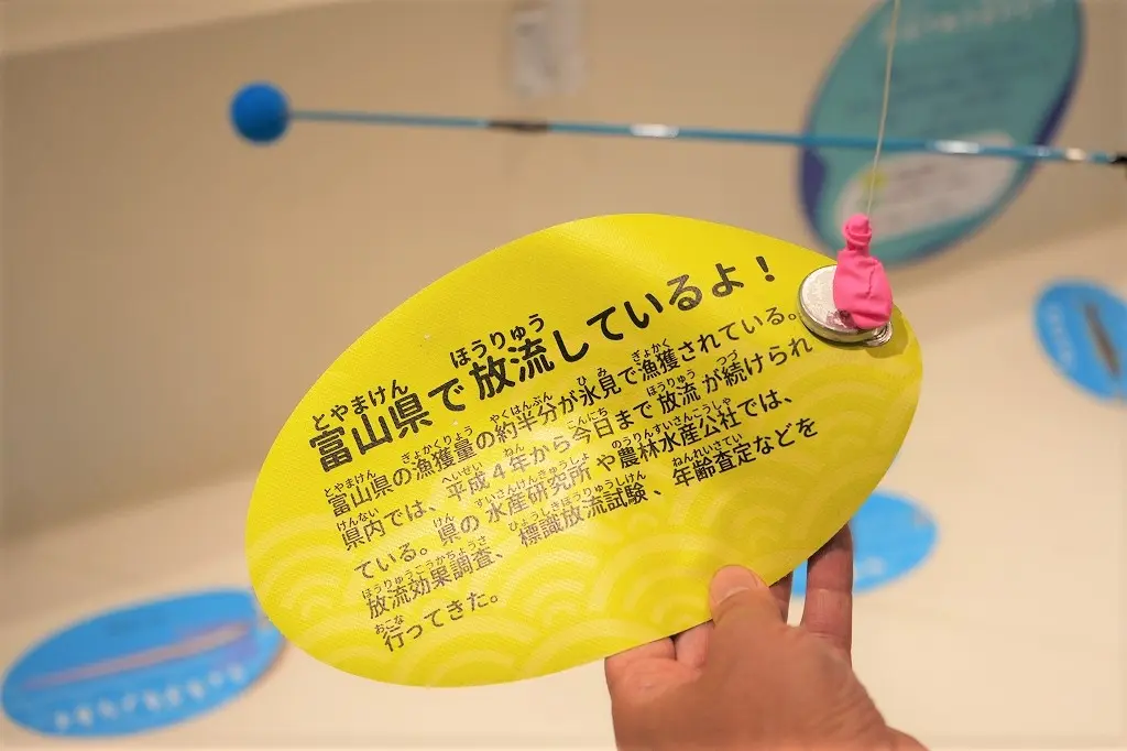 「交流館」の魅力　その③ 魚釣りで学べる「栽培漁業」-3