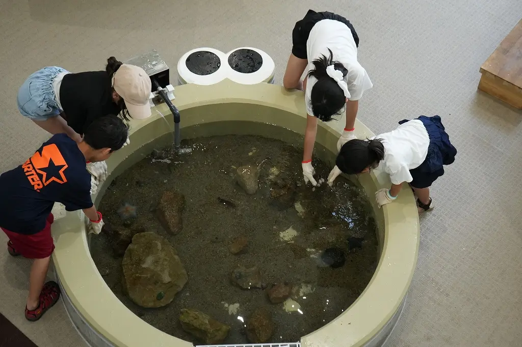 「ふれあい館」の魅力　その② 3つの「タッチ水槽」-5