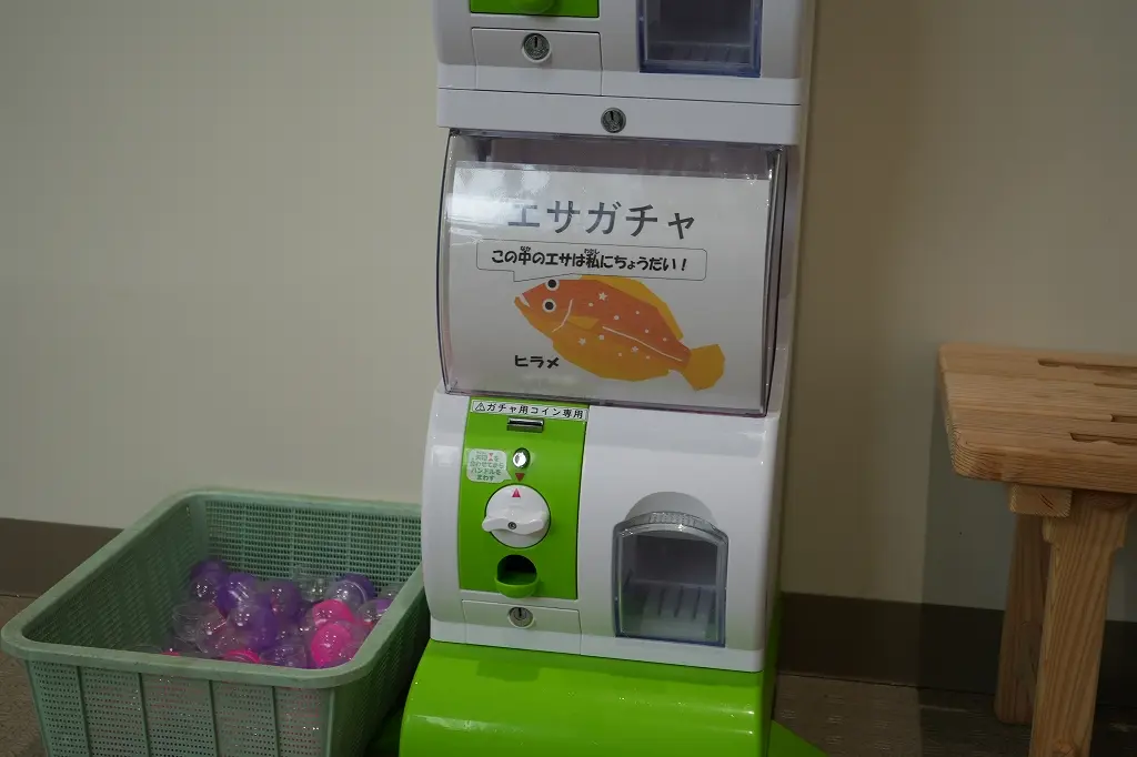 「ふれあい館」の魅力　その③ えさやり体験-0