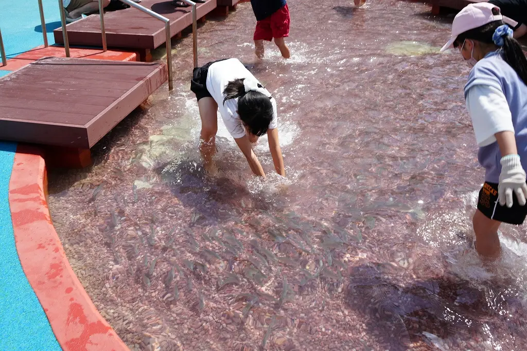 「ふれあい館」の魅力　その④ 大きな「ふれあいプール」-0