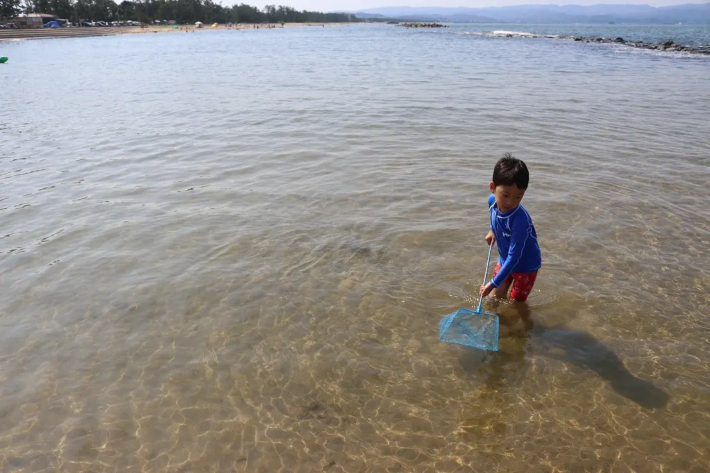 生き物も豊富な海水浴場！-3