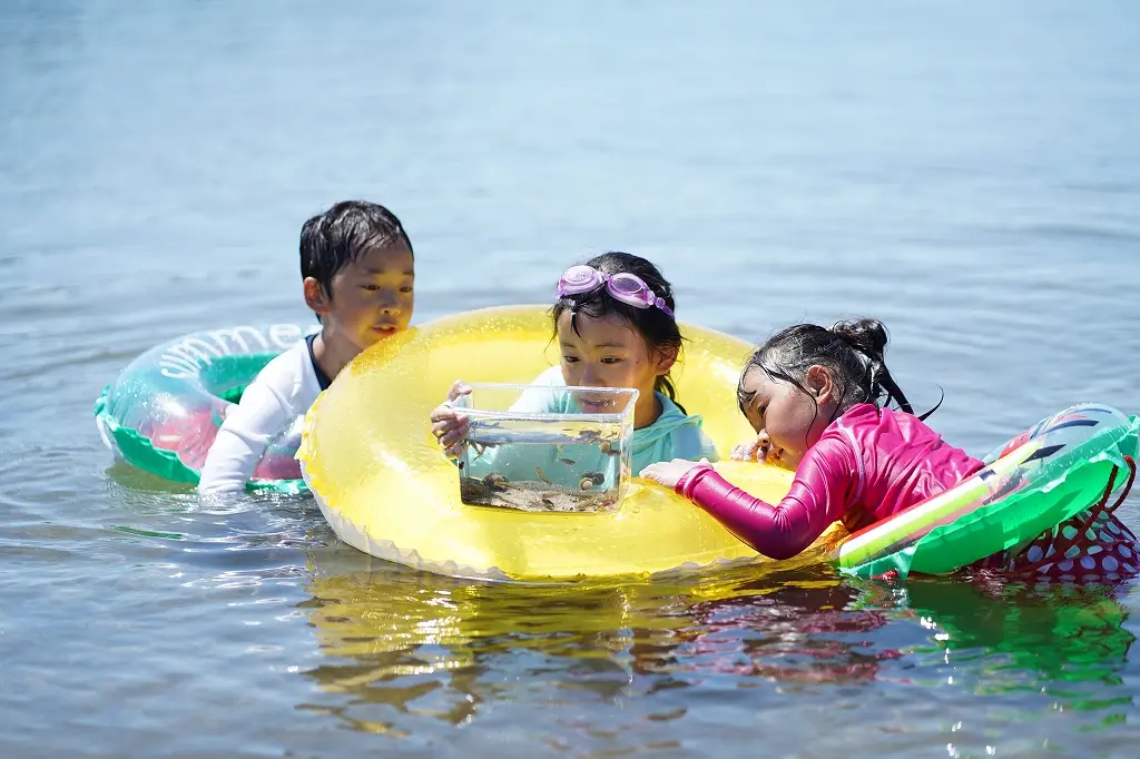 生き物も豊富な海水浴場！-4