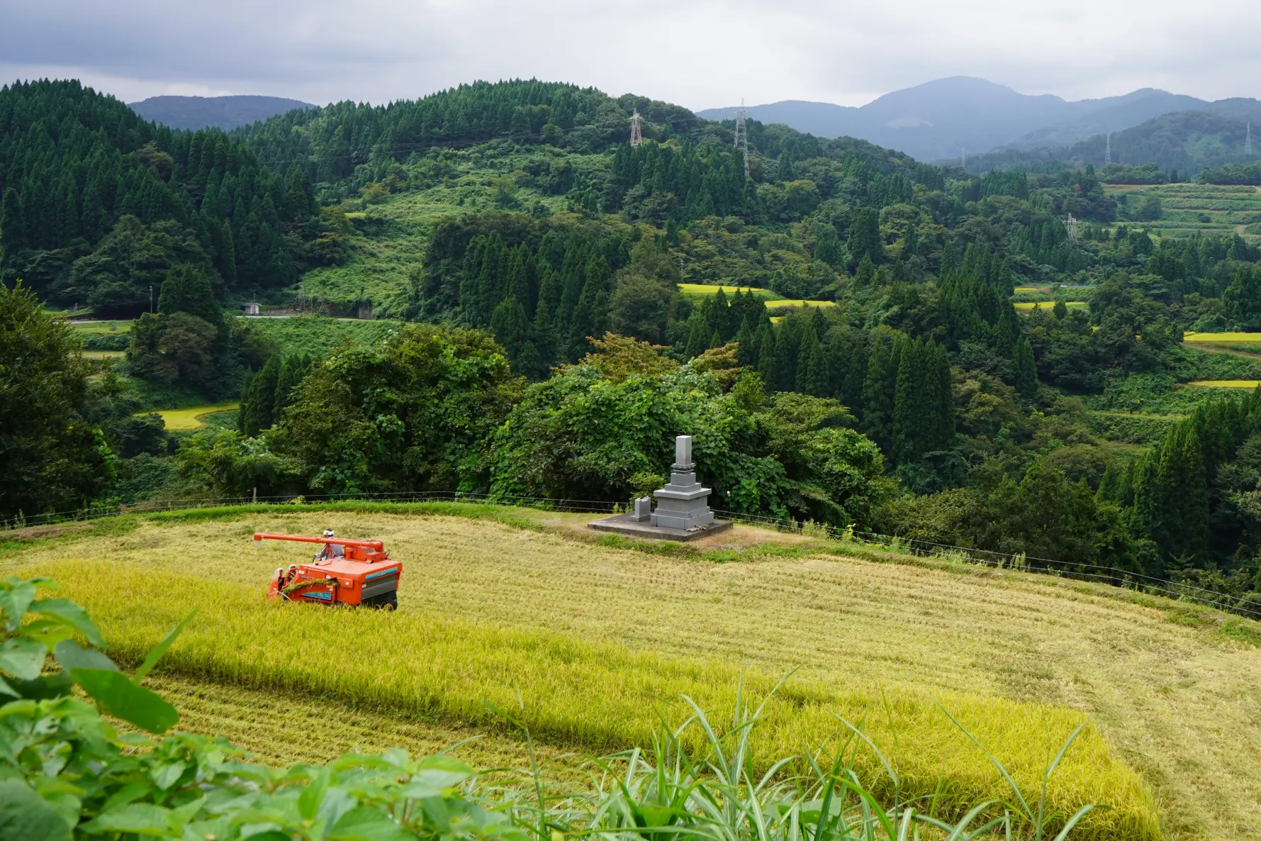 美味しいお米、富山県に広がる「田園風景」-1
