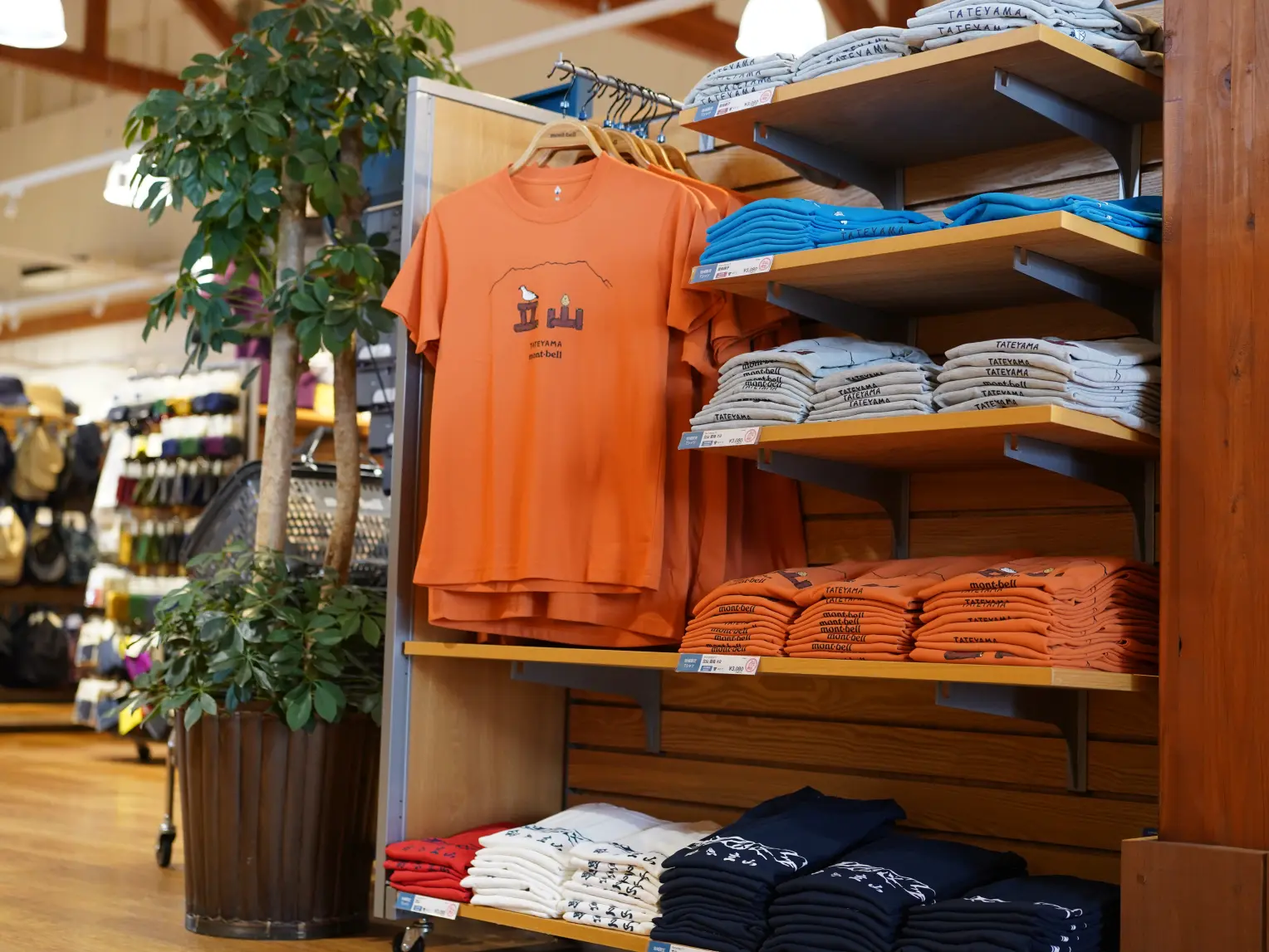 機能性バッチリ！モンベルヴィレッジ立山の限定Tシャツ-0