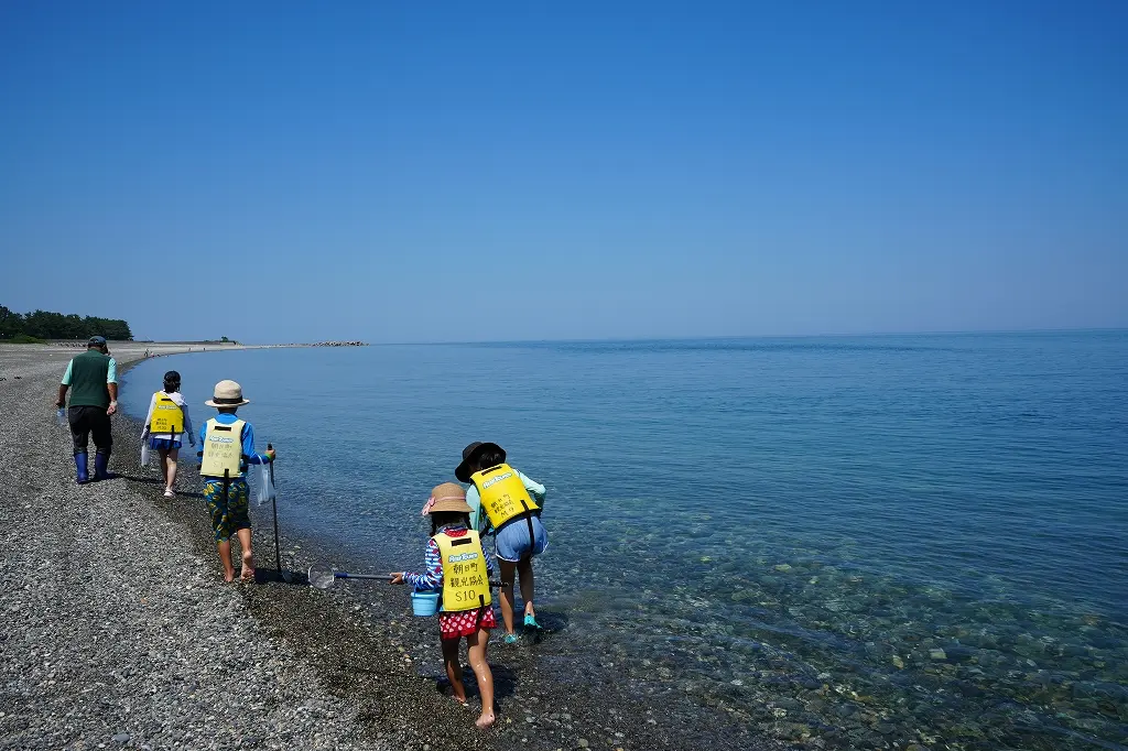 ヒスイ海岸でトレジャーハンティング　②海岸線を歩く-1
