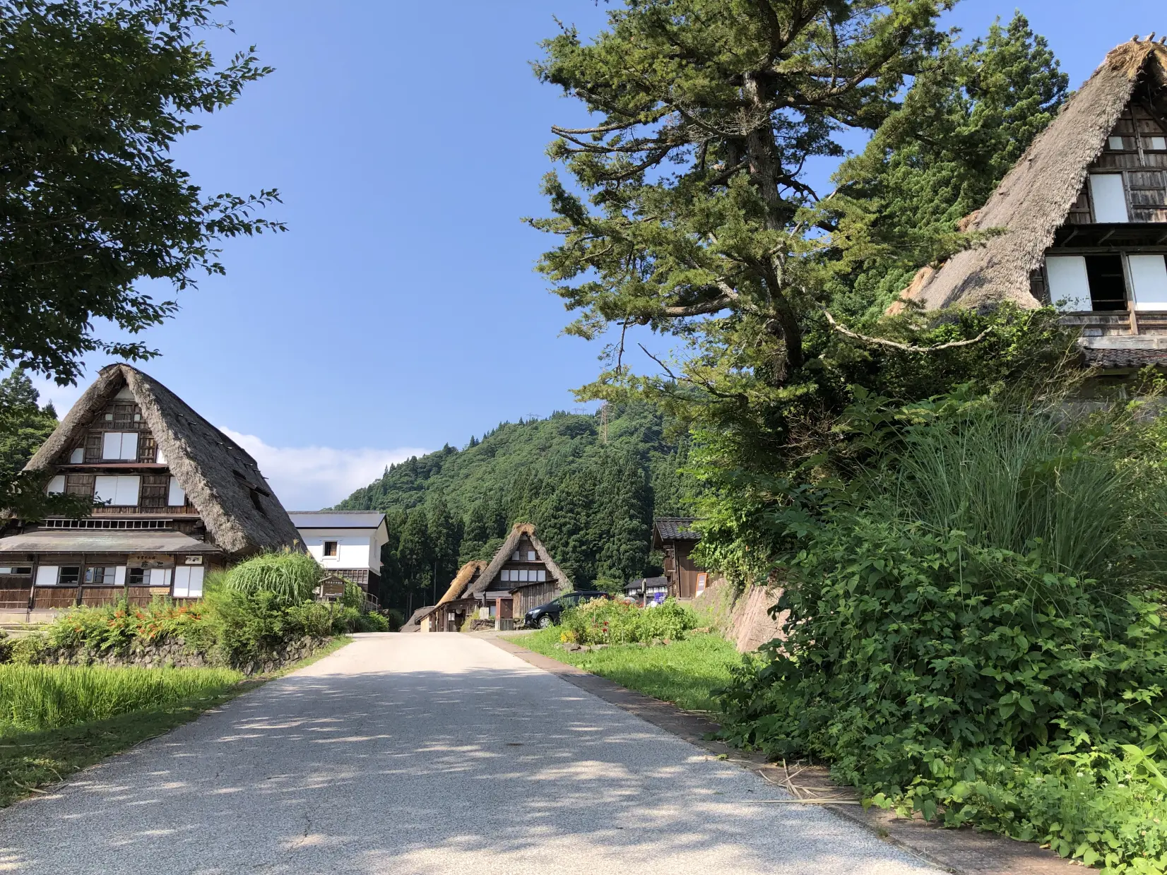 いざ！「五箇山和紙漉き体験館」へ！-1