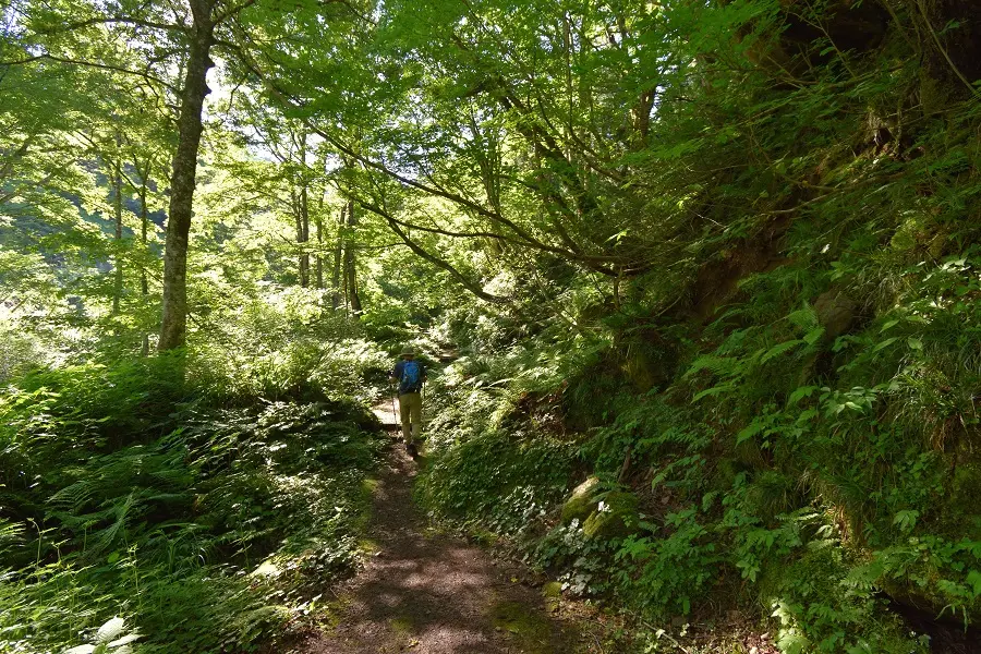 マイナスイオンを感じながら「龍神の滝」へ-1