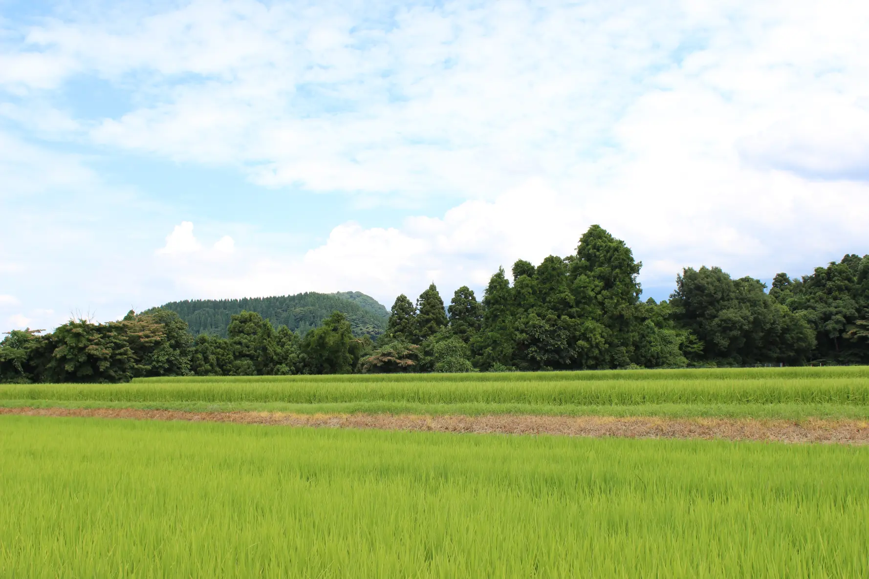 里山にある、隠れ家サウナ-0
