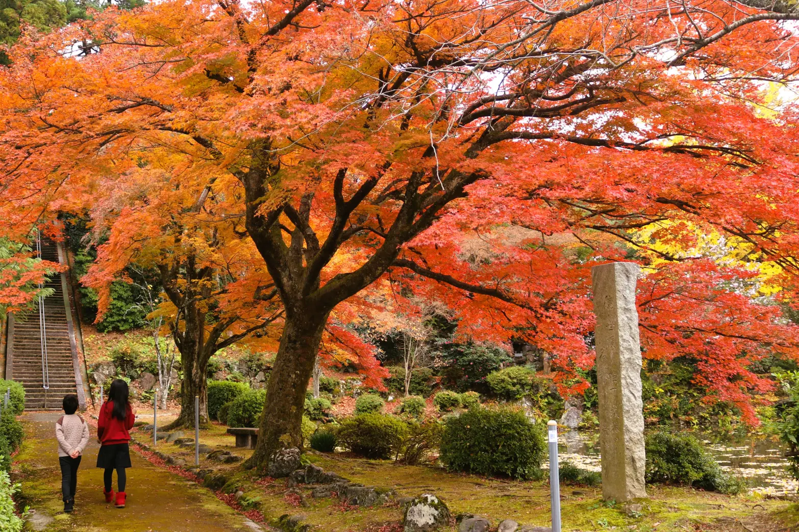 家族で楽しめる紅葉スポット「寺家公園」-3