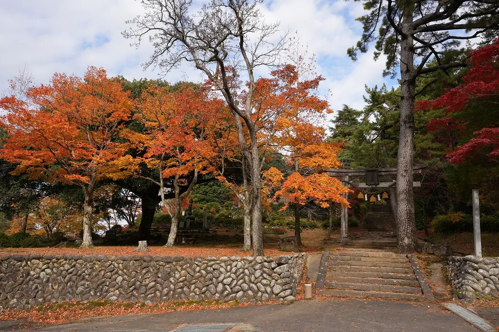 家族で楽しめる紅葉スポット「寺家公園」-0