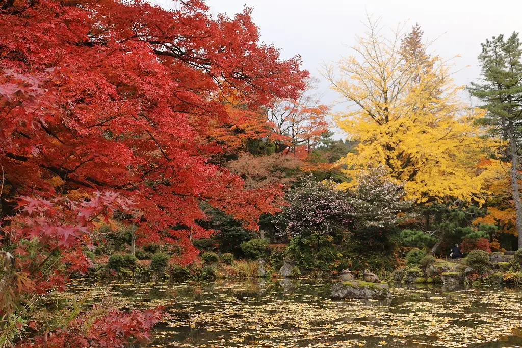 家族で楽しめる紅葉スポット「寺家公園」-2