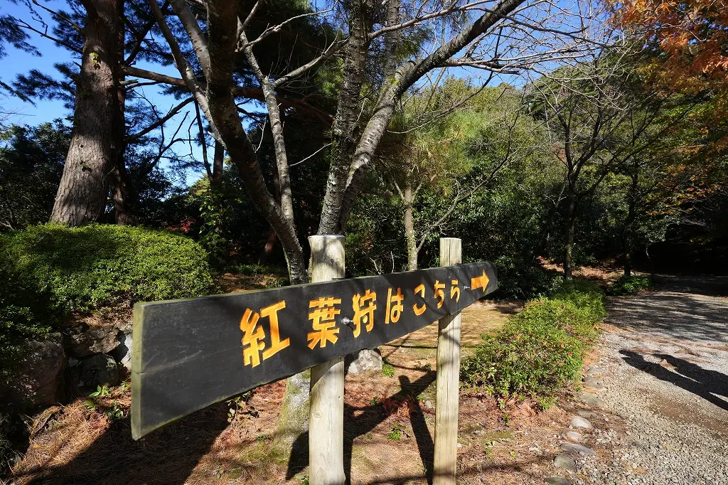 ぜひ、行ってほしい！「紅葉狩はこちら」の小道へ！-0