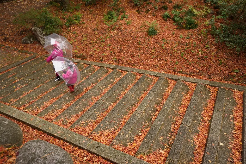 雨の日は、紅葉の色濃く、違う雰囲気に！-2