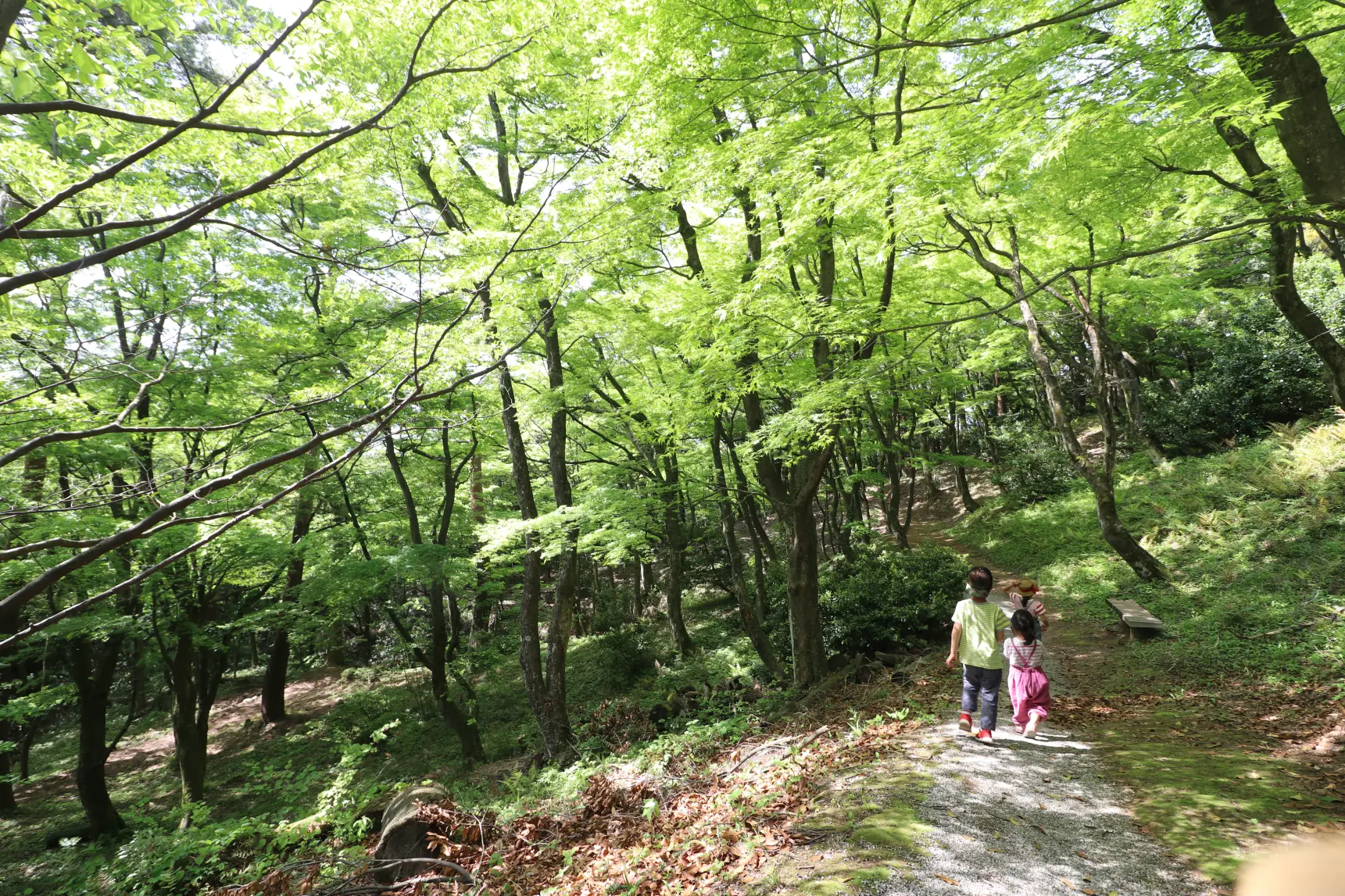 5月の新緑の時期もオススメ！-1