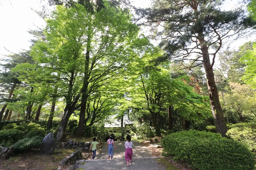 5月の新緑の時期もオススメ！-2