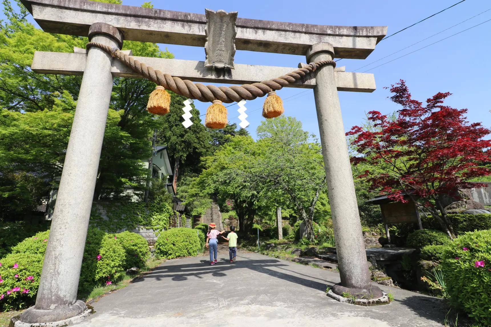 5月の新緑の時期もオススメ！-4