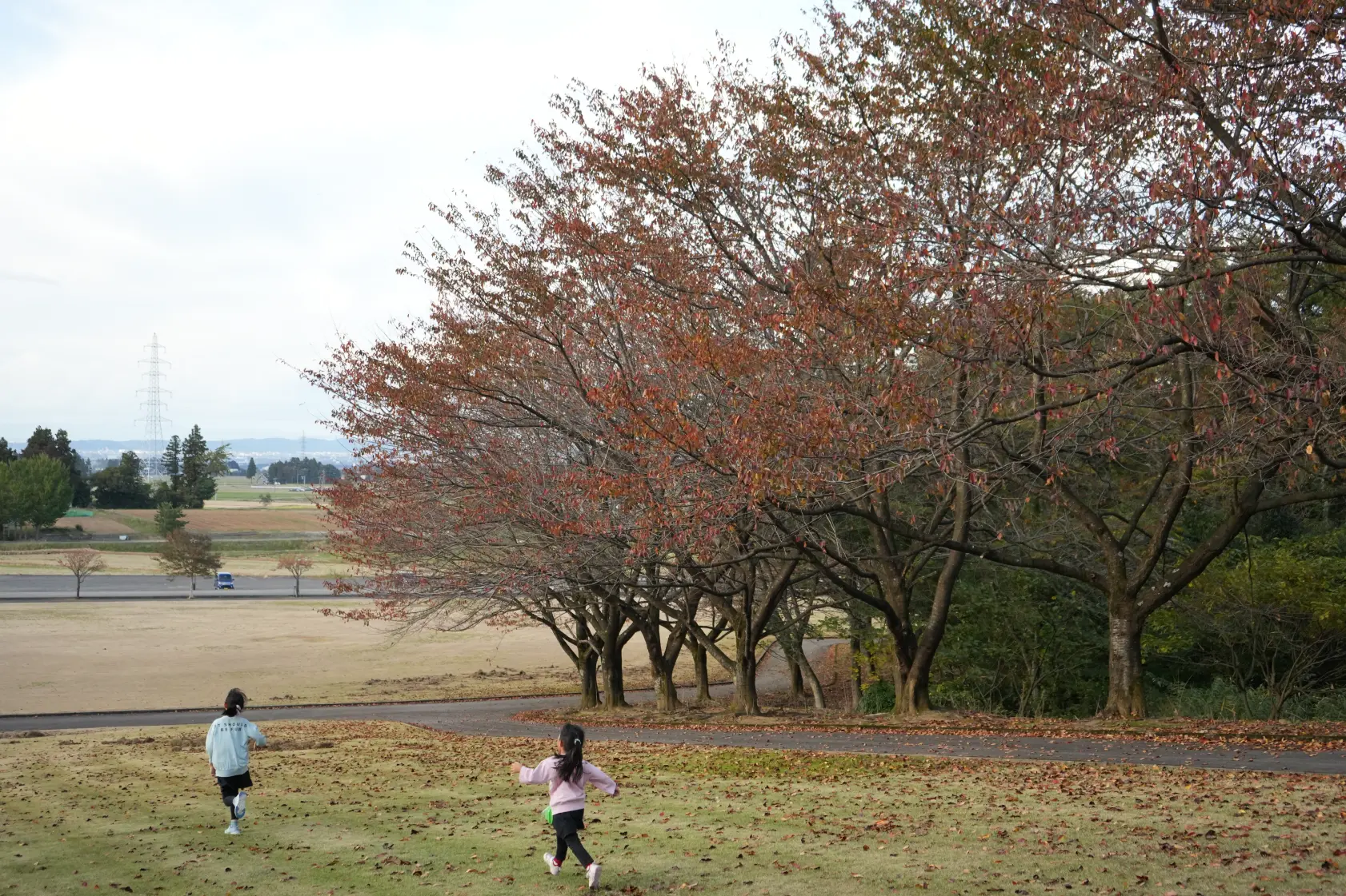 「寺家公園」から車で約5分、「猿倉山森林公園」へ！-4