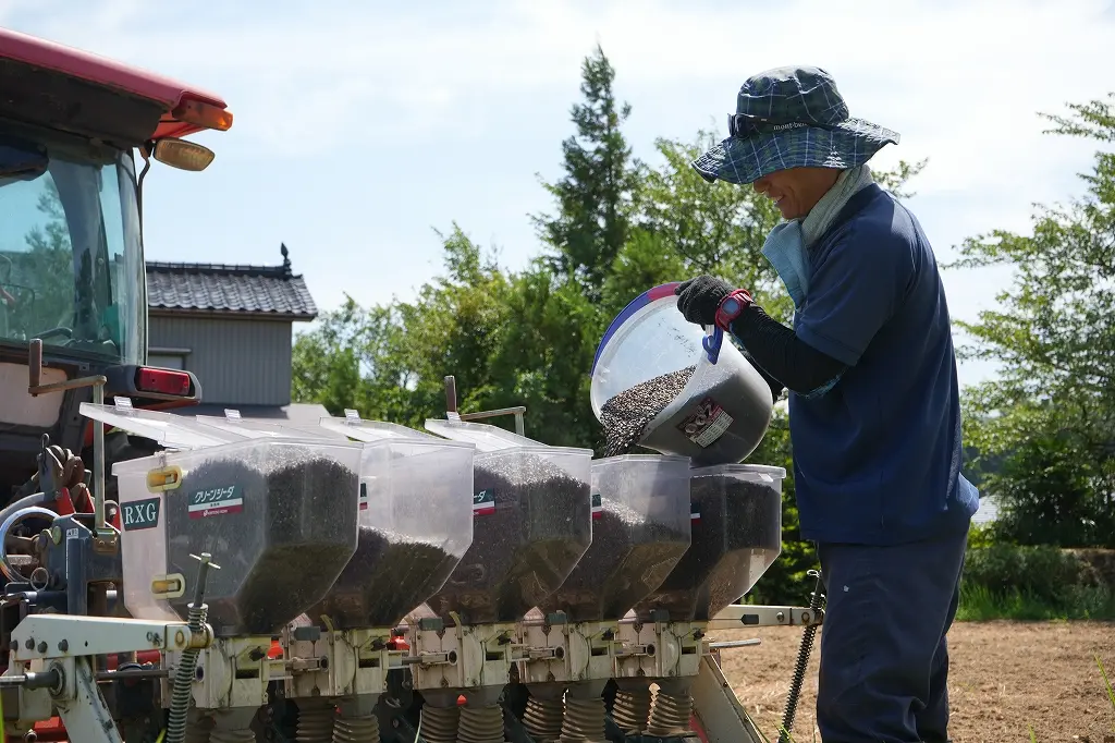 旧大沢野地区、富山市船峅（ふなくら）では、「ふなくらそば」の栽培も！-2