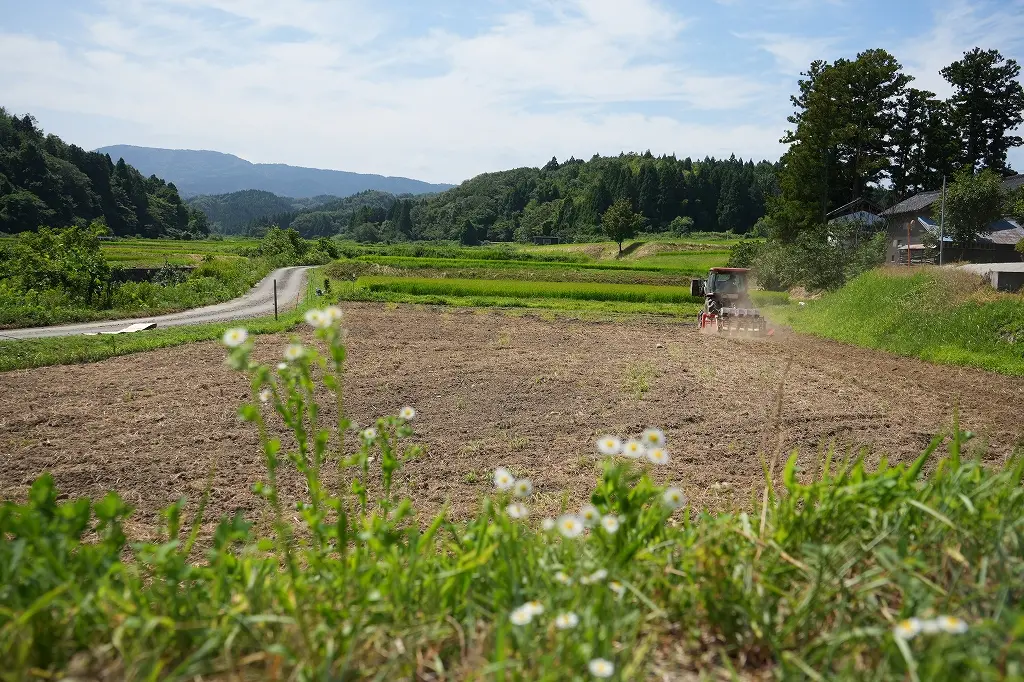旧大沢野地区、富山市船峅（ふなくら）では、「ふなくらそば」の栽培も！-1