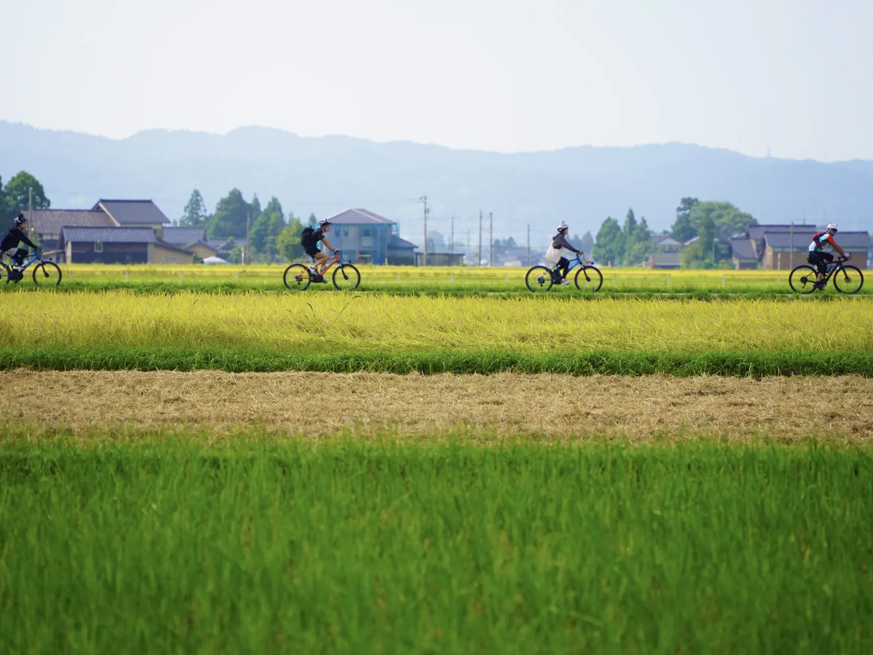 散居村に親しむ、井波周遊サイクリング-0