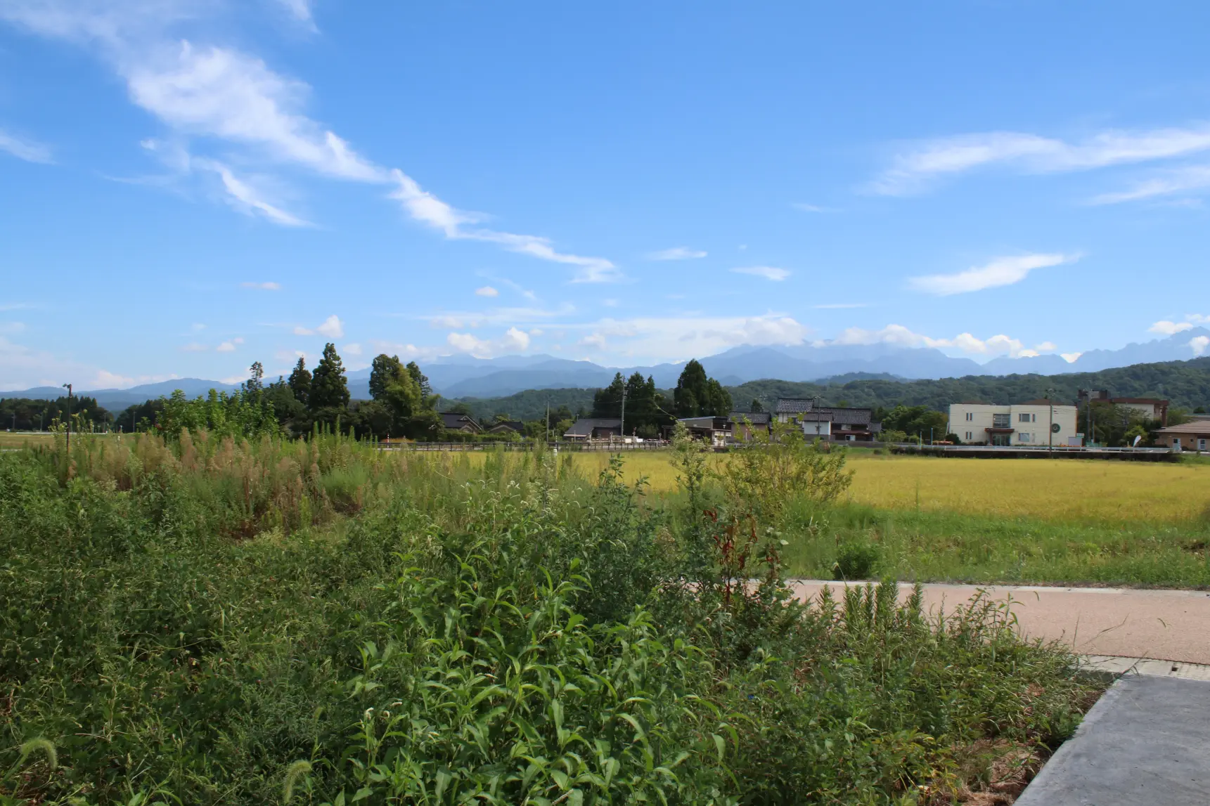 「The Garden」を散策-2