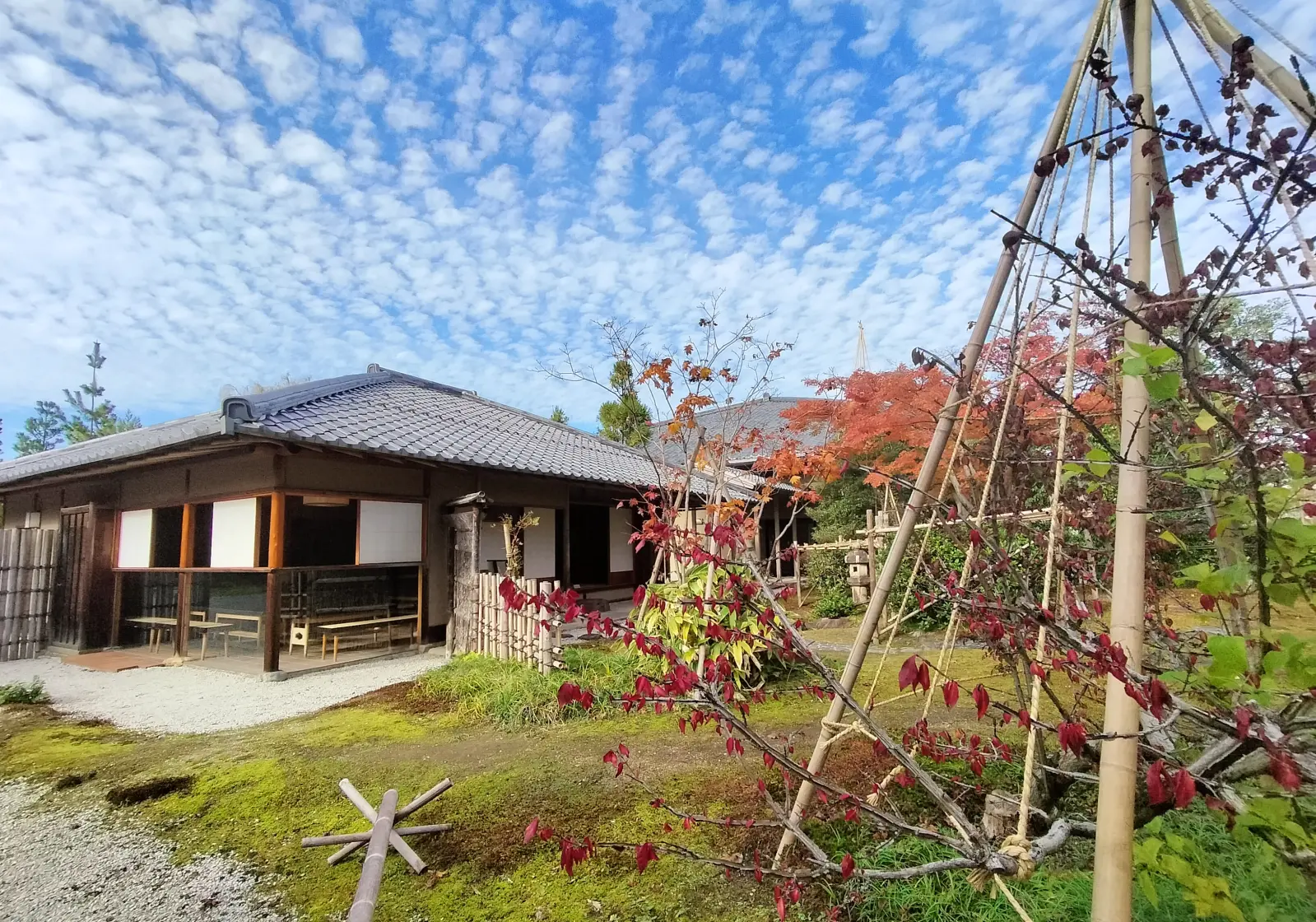 墨光庵（ぼっこうあん）で感じる四季-0