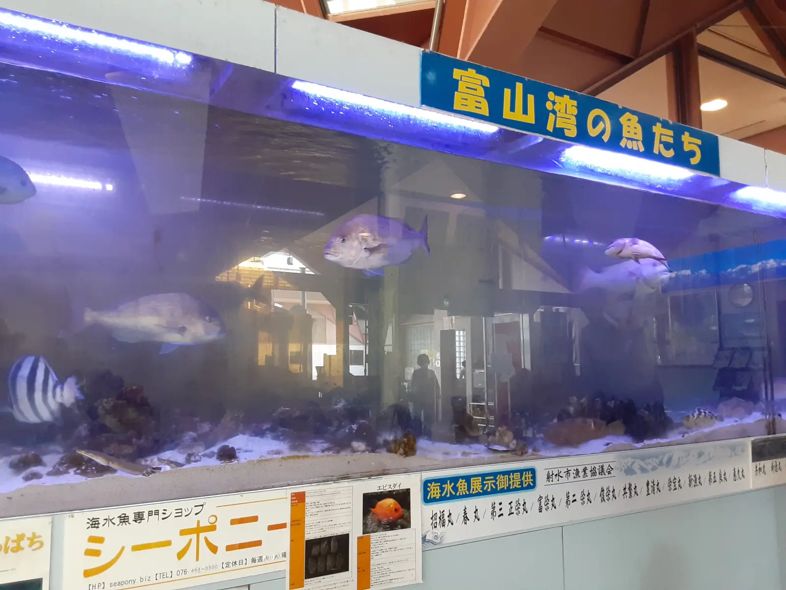 ちょっと休憩！「道の駅カモンパーク新湊」へ！-2